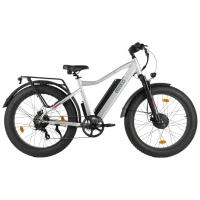 Электровелосипед Eltreco BigCat Dual Next Серебристый-матовый