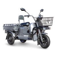 Грузовой электротрицикл Rutrike Баркас 740 60V1000W
